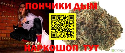 индика Абакан