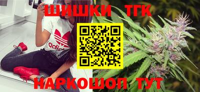индика Абакан