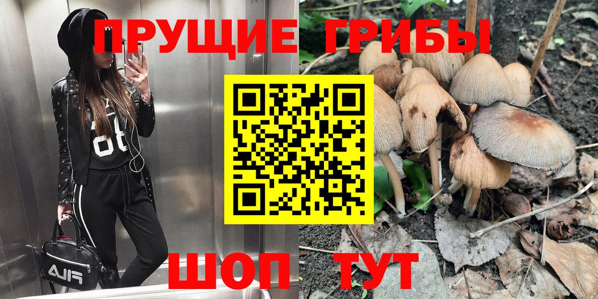 Азнакаево  Псилоцибиновые грибы Psilocybe  Вход с VPN 
